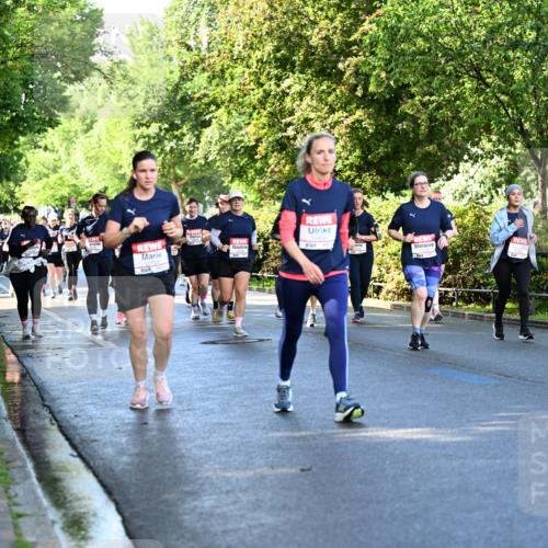 14.06.2026 - REWE Women's Run Dr. Thomas Lammeyer http://msf.ph/oto/9757998 14.06.2026 09:22:05 Laufen  meine-sportfotos.de