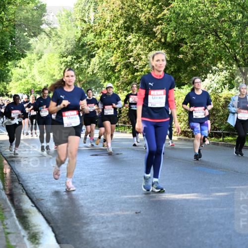 14.06.2026 - REWE Women's Run Dr. Thomas Lammeyer http://msf.ph/oto/9758003 14.06.2026 09:22:05 Laufen  meine-sportfotos.de