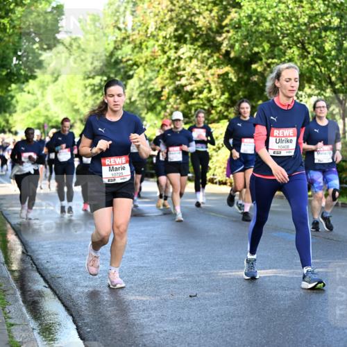 14.06.2026 - REWE Women's Run Dr. Thomas Lammeyer http://msf.ph/oto/9758018 14.06.2026 09:22:06 Laufen 10725, 10408, 7, 7 meine-sportfotos.de