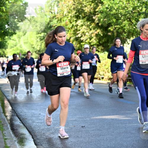 14.06.2026 - REWE Women's Run Dr. Thomas Lammeyer http://msf.ph/oto/9758028 14.06.2026 09:22:06 Laufen 10725, 7, 10408, 7 meine-sportfotos.de