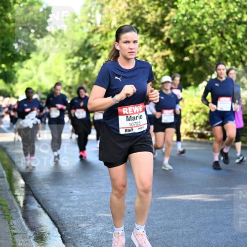 14.06.2026 - REWE Women's Run Dr. Thomas Lammeyer http://msf.ph/oto/9758037 14.06.2026 09:22:07 Laufen 10725, 7, 10408, 7 meine-sportfotos.de