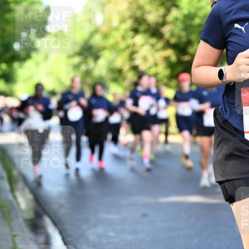 14.06.2026 - REWE Women's Run Dr. Thomas Lammeyer http://msf.ph/oto/9758059 14.06.2026 09:22:08 Laufen 10725 meine-sportfotos.de