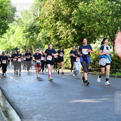 14.06.2026 - REWE Women's Run Dr. Thomas Lammeyer http://msf.ph/oto/9758161 14.06.2026 09:22:19 Laufen  meine-sportfotos.de