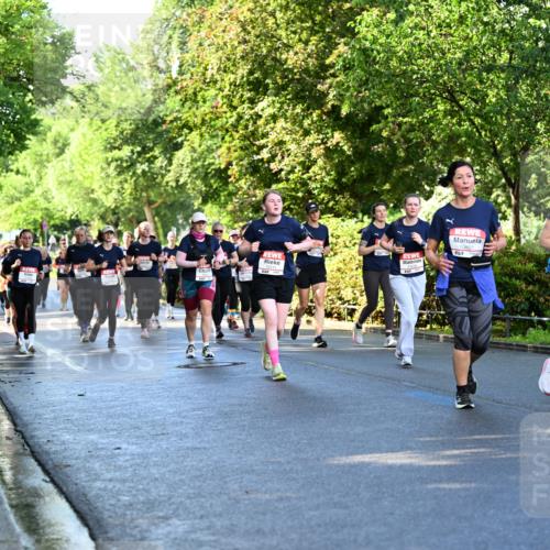 14.06.2026 - REWE Women's Run Dr. Thomas Lammeyer http://msf.ph/oto/9758175 14.06.2026 09:22:20 Laufen  meine-sportfotos.de