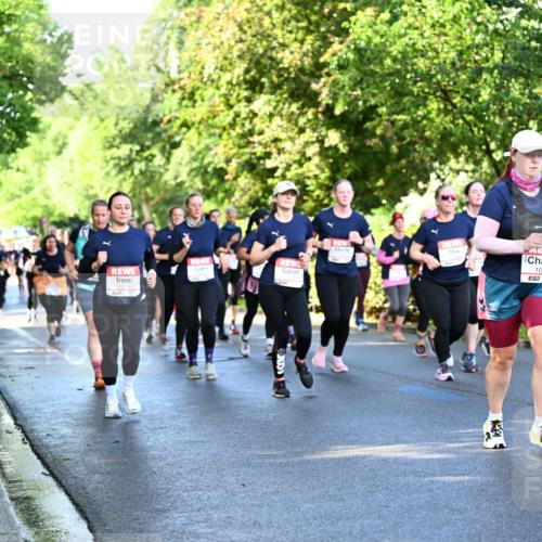 14.06.2026 - REWE Women's Run Dr. Thomas Lammeyer http://msf.ph/oto/9758226 14.06.2026 09:22:24 Laufen 100, 837 meine-sportfotos.de