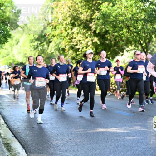 14.06.2026 - REWE Women's Run Dr. Thomas Lammeyer http://msf.ph/oto/9758231 14.06.2026 09:22:24 Laufen 1159, 10047, 7 meine-sportfotos.de
