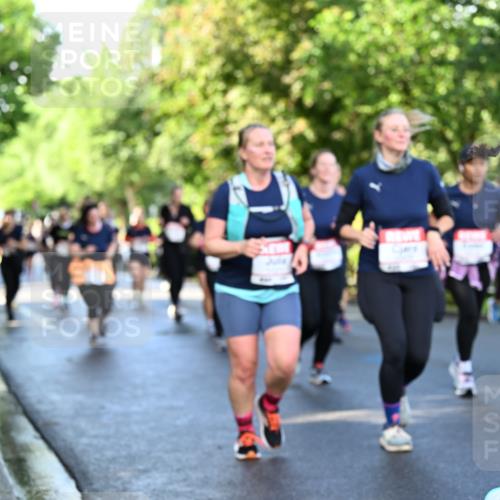 14.06.2026 - REWE Women's Run Dr. Thomas Lammeyer http://msf.ph/oto/9758244 14.06.2026 09:22:27 Laufen  meine-sportfotos.de