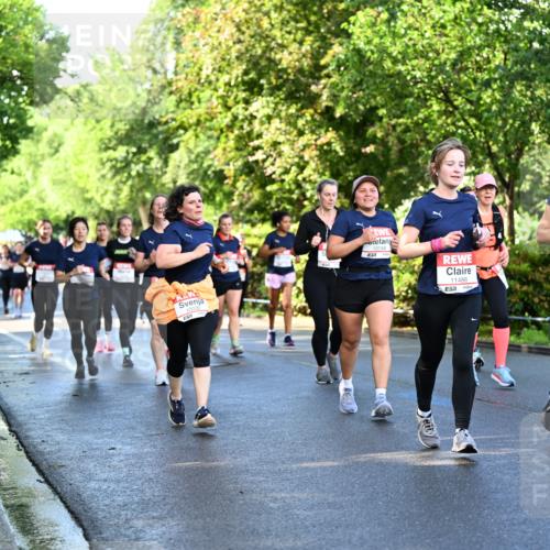 14.06.2026 - REWE Women's Run Dr. Thomas Lammeyer http://msf.ph/oto/9758270 14.06.2026 09:22:29 Laufen 10036, 10748, 11486, 57, 10903, 1101 meine-sportfotos.de