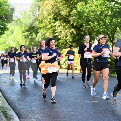 14.06.2026 - REWE Women's Run Dr. Thomas Lammeyer http://msf.ph/oto/9758284 14.06.2026 09:22:30 Laufen 2, 51, 11486, 7 meine-sportfotos.de