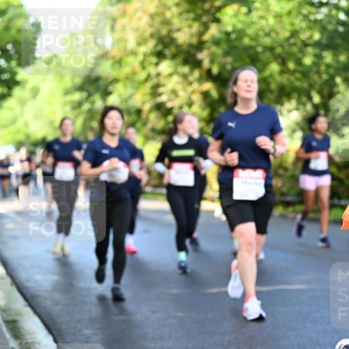 14.06.2026 - REWE Women's Run Dr. Thomas Lammeyer http://msf.ph/oto/9758312 14.06.2026 09:22:32 Laufen 10 meine-sportfotos.de
