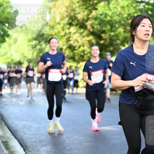 14.06.2026 - REWE Women's Run Dr. Thomas Lammeyer http://msf.ph/oto/9758340 14.06.2026 09:22:34 Laufen 0861, 11498 meine-sportfotos.de