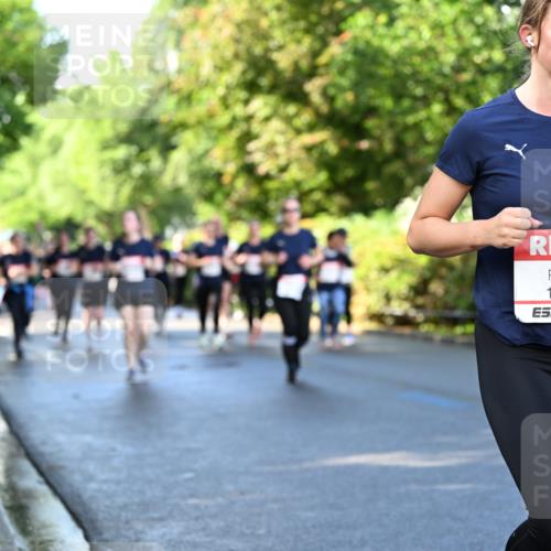 14.06.2026 - REWE Women's Run Dr. Thomas Lammeyer http://msf.ph/oto/9758366 14.06.2026 09:22:36 Laufen 11532 meine-sportfotos.de