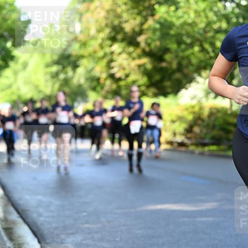 14.06.2026 - REWE Women's Run Dr. Thomas Lammeyer http://msf.ph/oto/9758369 14.06.2026 09:22:36 Laufen 11532 meine-sportfotos.de