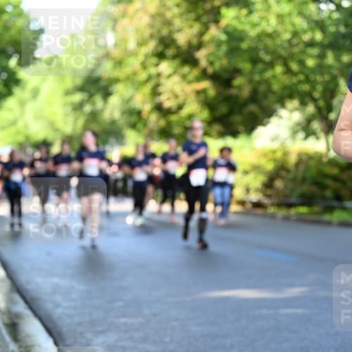 14.06.2026 - REWE Women's Run Dr. Thomas Lammeyer http://msf.ph/oto/9758372 14.06.2026 09:22:36 Laufen 115 meine-sportfotos.de