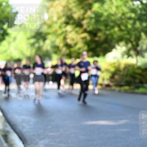 14.06.2026 - REWE Women's Run Dr. Thomas Lammeyer http://msf.ph/oto/9758374 14.06.2026 09:22:37 Laufen  meine-sportfotos.de