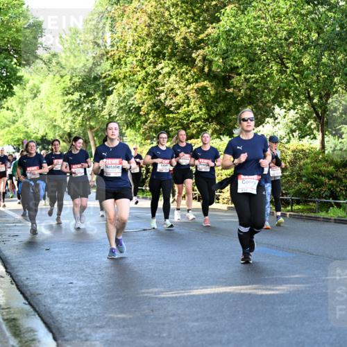 14.06.2026 - REWE Women's Run Dr. Thomas Lammeyer http://msf.ph/oto/9758390 14.06.2026 09:22:38 Laufen 5 meine-sportfotos.de
