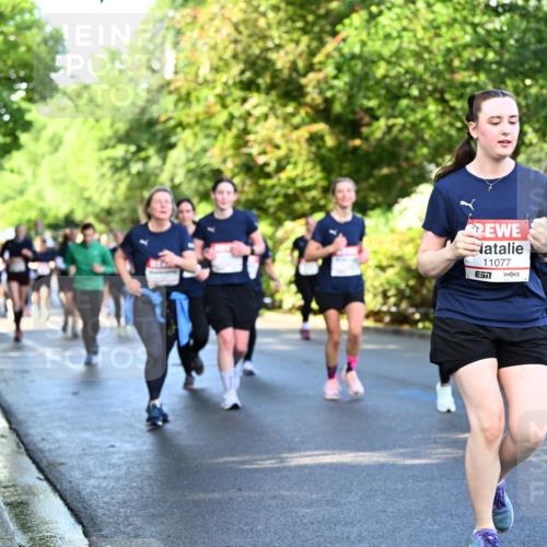 14.06.2026 - REWE Women's Run Dr. Thomas Lammeyer http://msf.ph/oto/9758432 14.06.2026 09:22:40 Laufen 11077, 57 meine-sportfotos.de