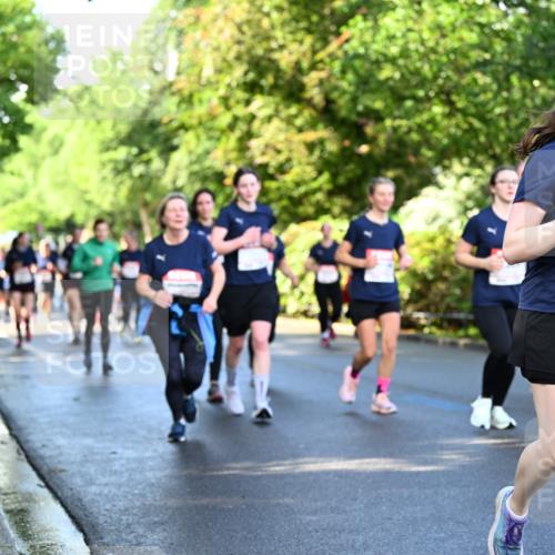 14.06.2026 - REWE Women's Run Dr. Thomas Lammeyer http://msf.ph/oto/9758437 14.06.2026 09:22:41 Laufen 11077 meine-sportfotos.de