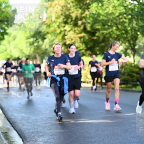 14.06.2026 - REWE Women's Run Dr. Thomas Lammeyer http://msf.ph/oto/9758445 14.06.2026 09:22:41 Laufen  meine-sportfotos.de