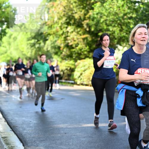 14.06.2026 - REWE Women's Run Dr. Thomas Lammeyer http://msf.ph/oto/9758471 14.06.2026 09:22:43 Laufen 11201 meine-sportfotos.de