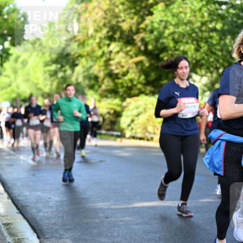 14.06.2026 - REWE Women's Run Dr. Thomas Lammeyer http://msf.ph/oto/9758473 14.06.2026 09:22:43 Laufen 11257, 57 meine-sportfotos.de