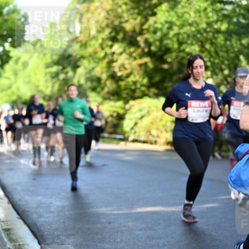 14.06.2026 - REWE Women's Run Dr. Thomas Lammeyer http://msf.ph/oto/9758475 14.06.2026 09:22:43 Laufen  meine-sportfotos.de