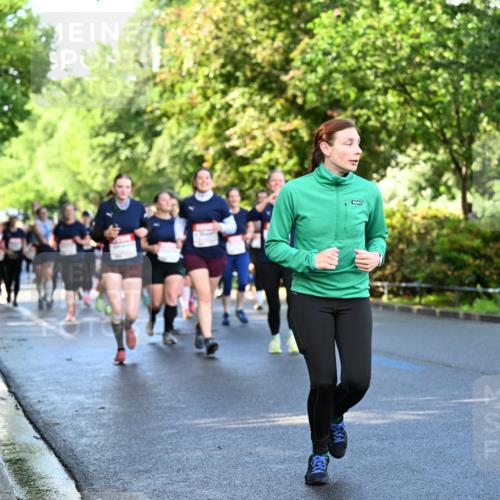 14.06.2026 - REWE Women's Run Dr. Thomas Lammeyer http://msf.ph/oto/9758511 14.06.2026 09:22:46 Laufen  meine-sportfotos.de