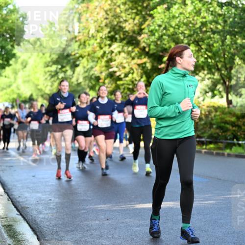 14.06.2026 - REWE Women's Run Dr. Thomas Lammeyer http://msf.ph/oto/9758514 14.06.2026 09:22:46 Laufen  meine-sportfotos.de