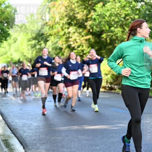 14.06.2026 - REWE Women's Run Dr. Thomas Lammeyer http://msf.ph/oto/9758520 14.06.2026 09:22:46 Laufen  meine-sportfotos.de