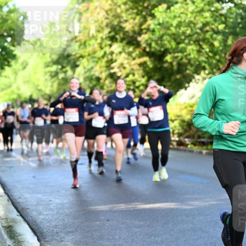 14.06.2026 - REWE Women's Run Dr. Thomas Lammeyer http://msf.ph/oto/9758523 14.06.2026 09:22:46 Laufen  meine-sportfotos.de