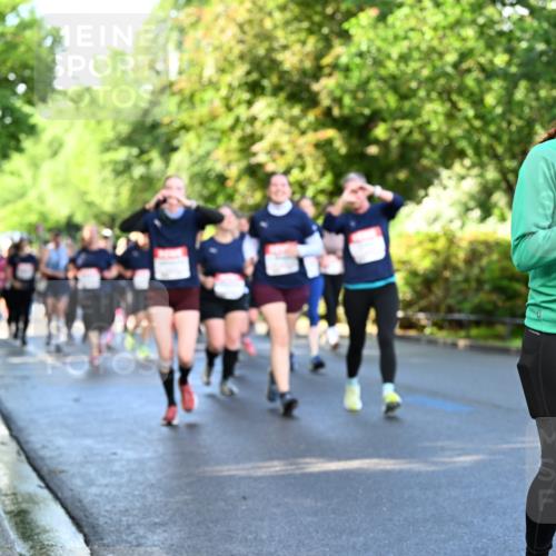 14.06.2026 - REWE Women's Run Dr. Thomas Lammeyer http://msf.ph/oto/9758526 14.06.2026 09:22:46 Laufen  meine-sportfotos.de
