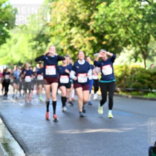 14.06.2026 - REWE Women's Run Dr. Thomas Lammeyer http://msf.ph/oto/9758528 14.06.2026 09:22:47 Laufen  meine-sportfotos.de