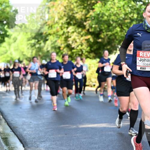 14.06.2026 - REWE Women's Run Dr. Thomas Lammeyer http://msf.ph/oto/9758568 14.06.2026 09:22:49 Laufen 10644, 7 meine-sportfotos.de