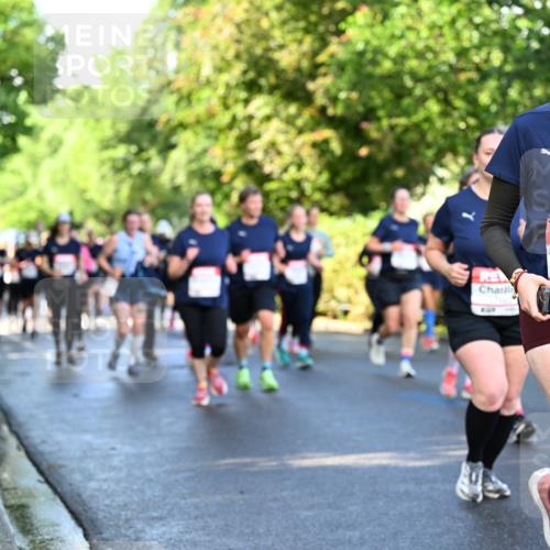 14.06.2026 - REWE Women's Run Dr. Thomas Lammeyer http://msf.ph/oto/9758571 14.06.2026 09:22:49 Laufen 4, 10644 meine-sportfotos.de