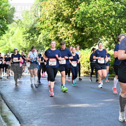 14.06.2026 - REWE Women's Run Dr. Thomas Lammeyer http://msf.ph/oto/9758574 14.06.2026 09:22:50 Laufen 11453, 10863 meine-sportfotos.de