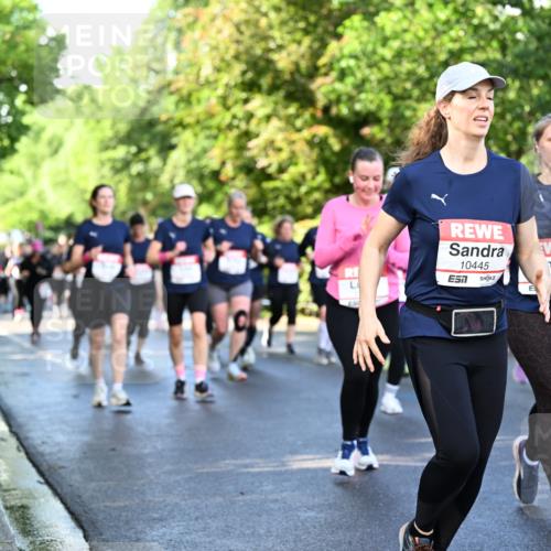 14.06.2026 - REWE Women's Run Dr. Thomas Lammeyer http://msf.ph/oto/9758658 14.06.2026 09:22:55 Laufen 10445, 57, 53 meine-sportfotos.de