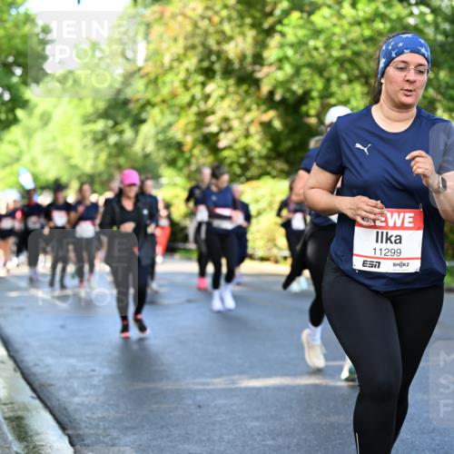 14.06.2026 - REWE Women's Run Dr. Thomas Lammeyer http://msf.ph/oto/9758745 14.06.2026 09:23:01 Laufen 11299 meine-sportfotos.de