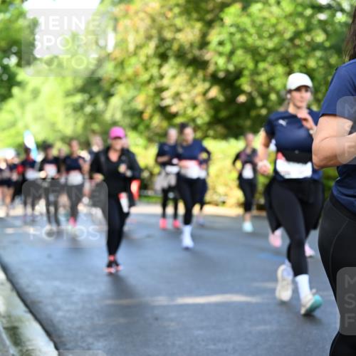 14.06.2026 - REWE Women's Run Dr. Thomas Lammeyer http://msf.ph/oto/9758752 14.06.2026 09:23:02 Laufen 11299, 0 meine-sportfotos.de