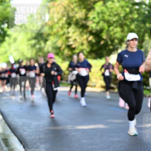14.06.2026 - REWE Women's Run Dr. Thomas Lammeyer http://msf.ph/oto/9758754 14.06.2026 09:23:02 Laufen  meine-sportfotos.de