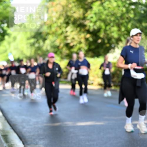 14.06.2026 - REWE Women's Run Dr. Thomas Lammeyer http://msf.ph/oto/9758756 14.06.2026 09:23:02 Laufen  meine-sportfotos.de