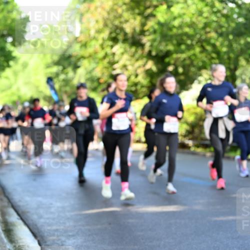 14.06.2026 - REWE Women's Run Dr. Thomas Lammeyer http://msf.ph/oto/9758807 14.06.2026 09:23:05 Laufen  meine-sportfotos.de