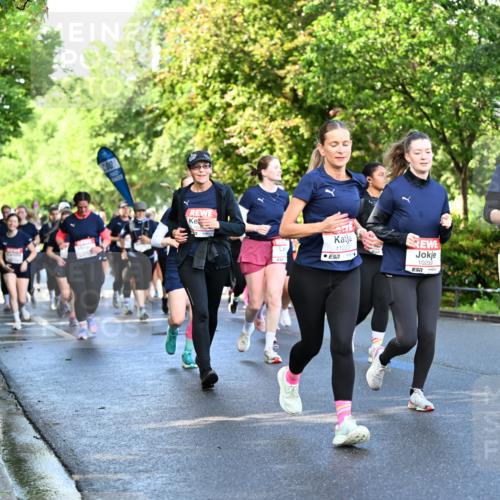 14.06.2026 - REWE Women's Run Dr. Thomas Lammeyer http://msf.ph/oto/9758816 14.06.2026 09:23:06 Laufen 11223, 10259, 57, 11197, 57 meine-sportfotos.de