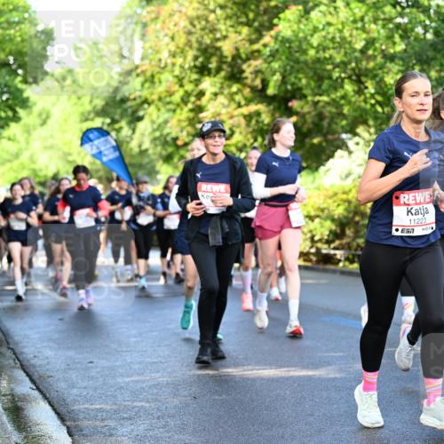 14.06.2026 - REWE Women's Run Dr. Thomas Lammeyer http://msf.ph/oto/9758823 14.06.2026 09:23:07 Laufen 11223, 10259 meine-sportfotos.de