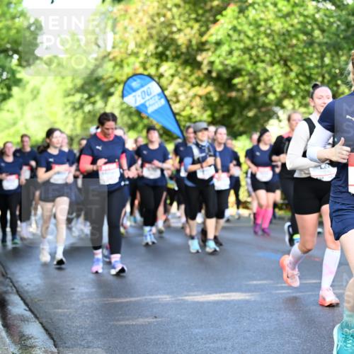 14.06.2026 - REWE Women's Run Dr. Thomas Lammeyer http://msf.ph/oto/9758859 14.06.2026 09:23:09 Laufen 7, 00, 10467 meine-sportfotos.de