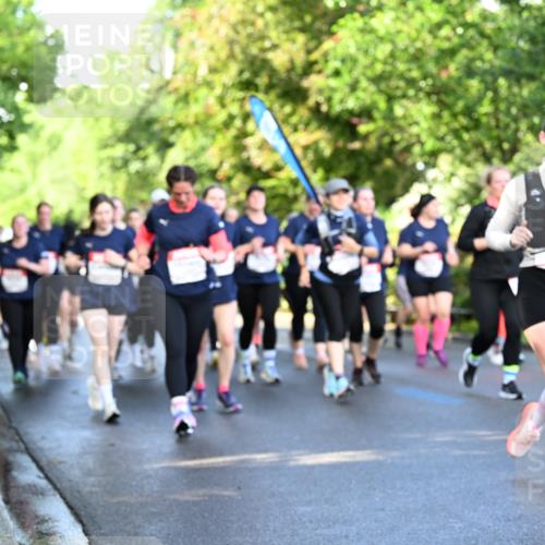 14.06.2026 - REWE Women's Run Dr. Thomas Lammeyer http://msf.ph/oto/9758865 14.06.2026 09:23:09 Laufen  meine-sportfotos.de