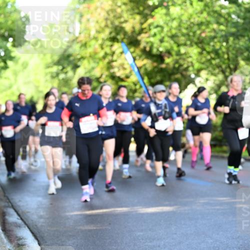 14.06.2026 - REWE Women's Run Dr. Thomas Lammeyer http://msf.ph/oto/9758867 14.06.2026 09:23:10 Laufen  meine-sportfotos.de