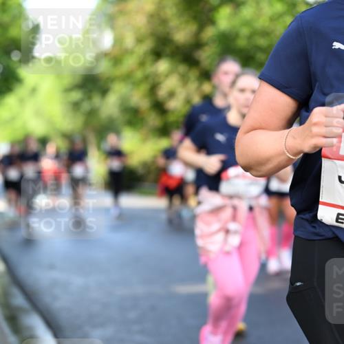 14.06.2026 - REWE Women's Run Dr. Thomas Lammeyer http://msf.ph/oto/9758991 14.06.2026 09:23:19 Laufen 10804 meine-sportfotos.de