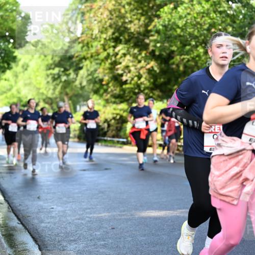 14.06.2026 - REWE Women's Run Dr. Thomas Lammeyer http://msf.ph/oto/9758996 14.06.2026 09:23:19 Laufen 11415 meine-sportfotos.de