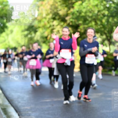 14.06.2026 - REWE Women's Run Dr. Thomas Lammeyer http://msf.ph/oto/9759229 14.06.2026 09:23:40 Laufen  meine-sportfotos.de