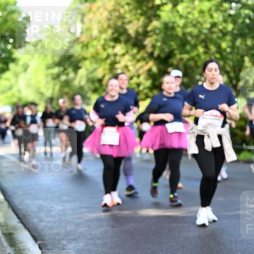 14.06.2026 - REWE Women's Run Dr. Thomas Lammeyer http://msf.ph/oto/9759249 14.06.2026 09:23:42 Laufen  meine-sportfotos.de